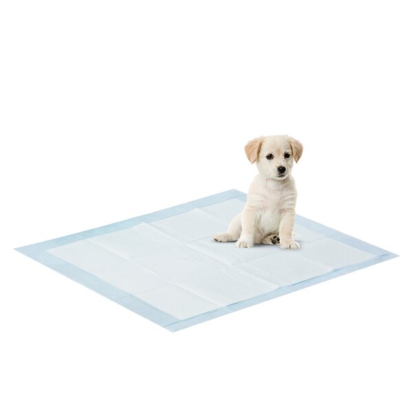 Puppy clearance mat holder